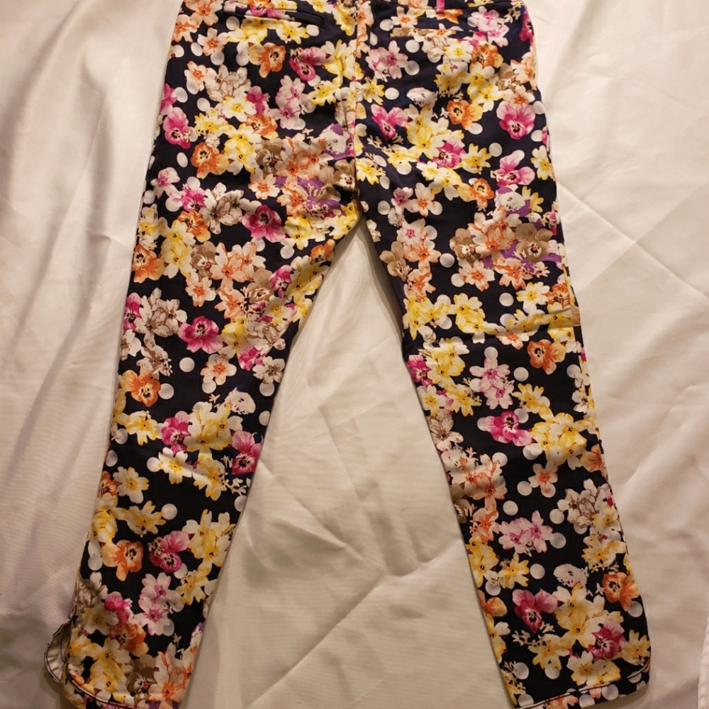 ANTHROPOLOGIE CARTONNIER Womens ankle pants size 8 blue floral